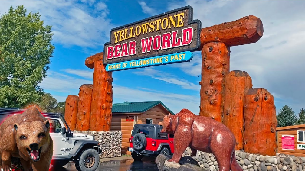 Yellowstone Bear World, United States